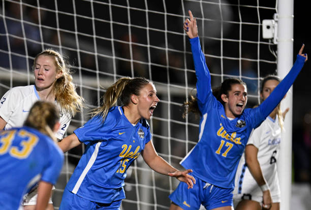 他需要在皇 他需要在皇